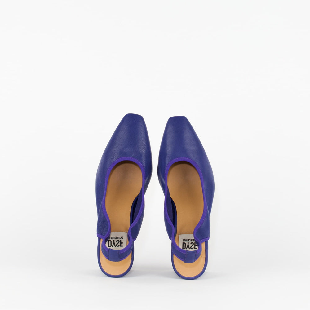 CATNESS / LT BLUE KLEIN