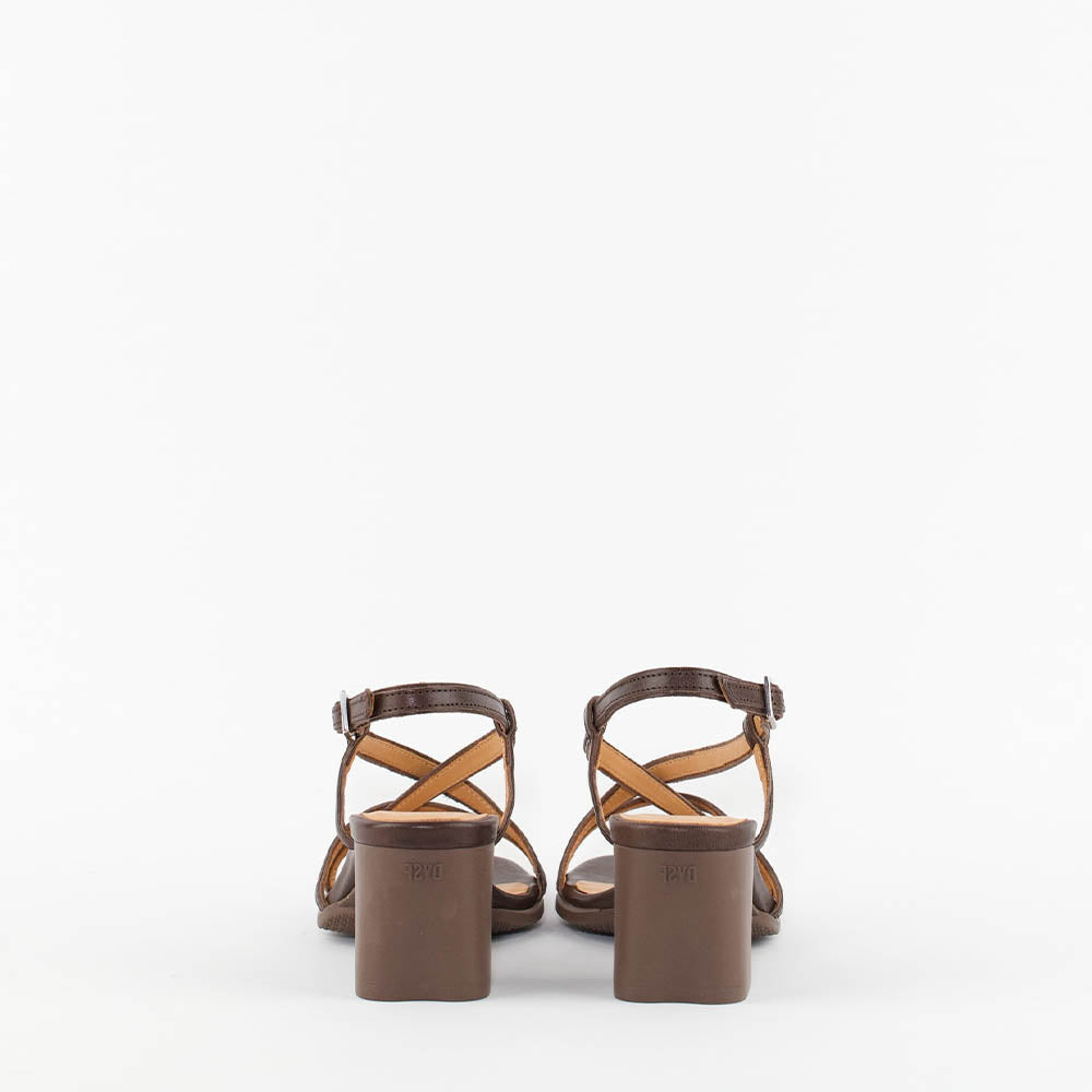 KUMA / BROWN