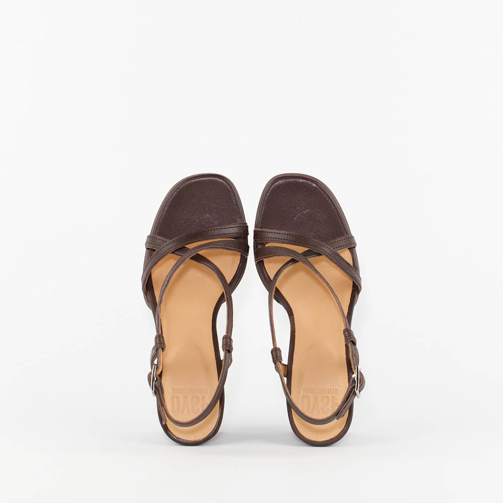 KUMA / BROWN
