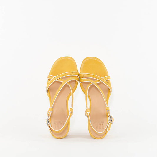 KUMA / YELLOW