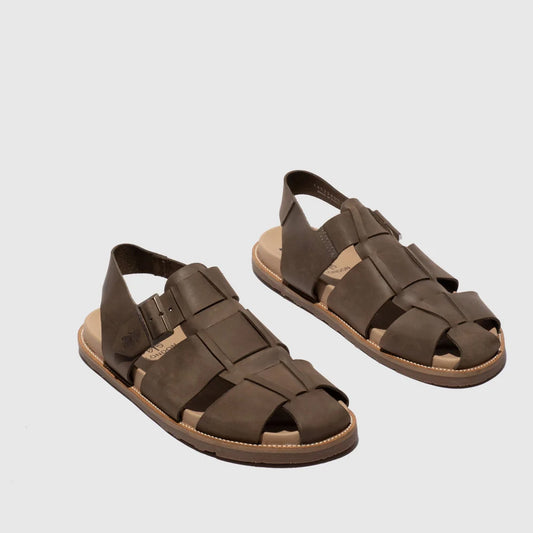 MAFY / BROWN