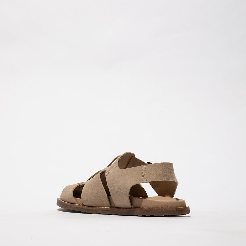 MAFY / TAUPE