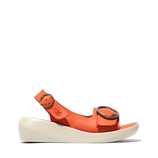 BERK / CORAL