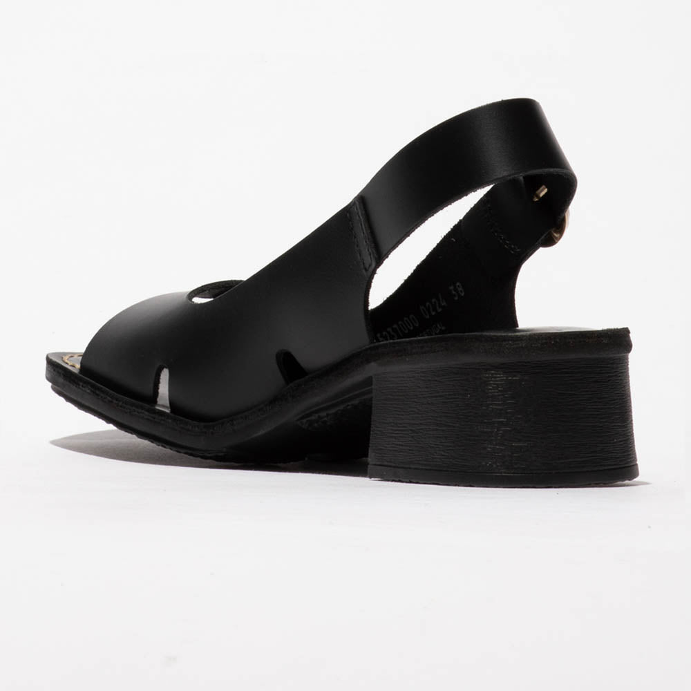 EDOV / BLACK