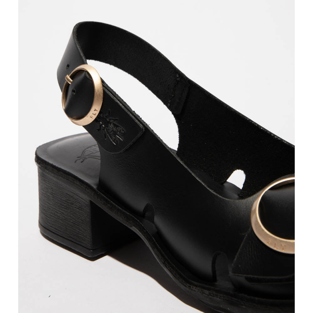 EDOV / BLACK