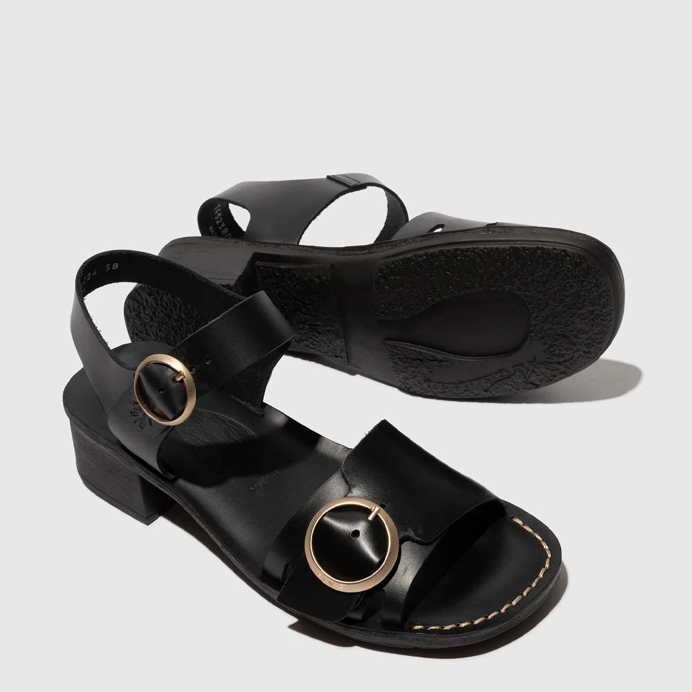 EBLI / BLACK