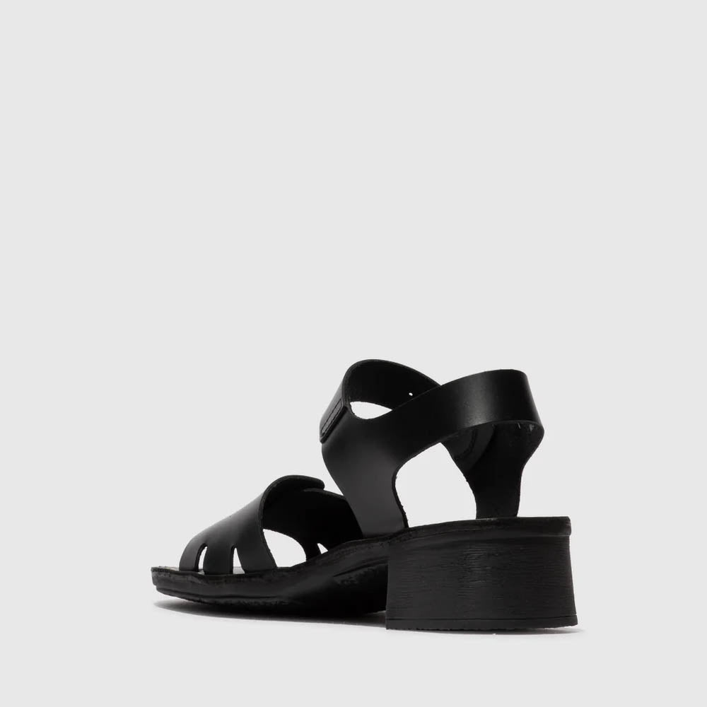 EBLI / BLACK