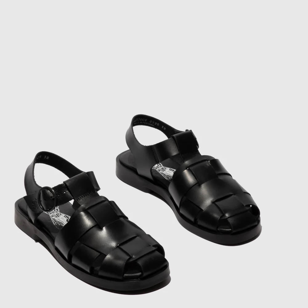 ARED / ALL BLACK