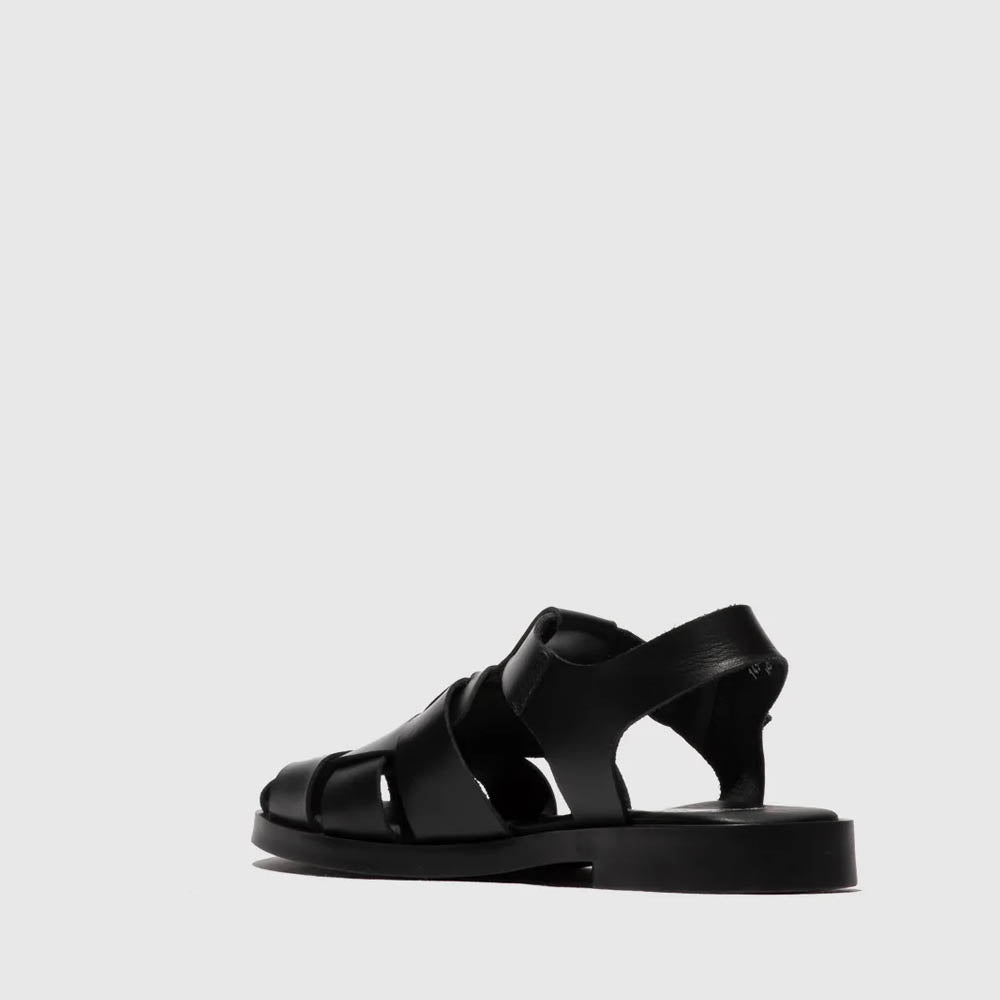 ARED / ALL BLACK
