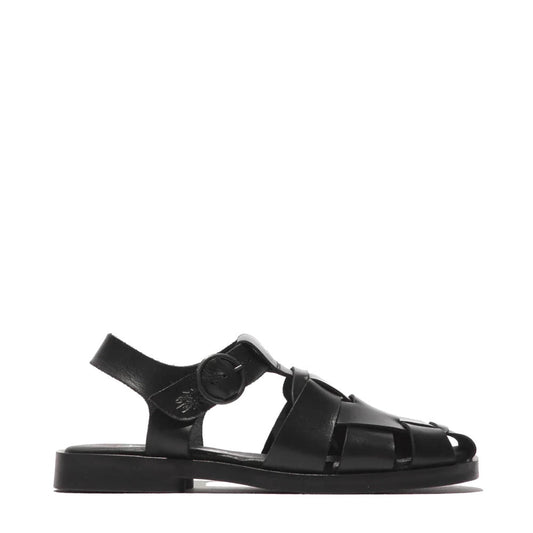 ARED / ALL BLACK