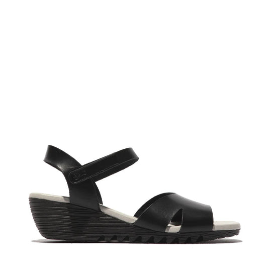 OLLA / ALL BLACK