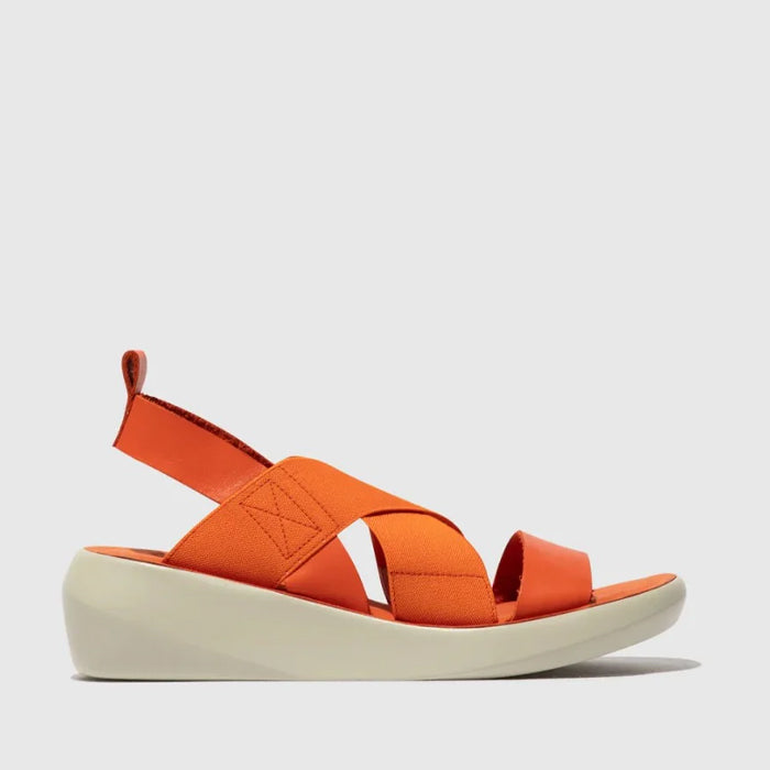BAJI / CORAL