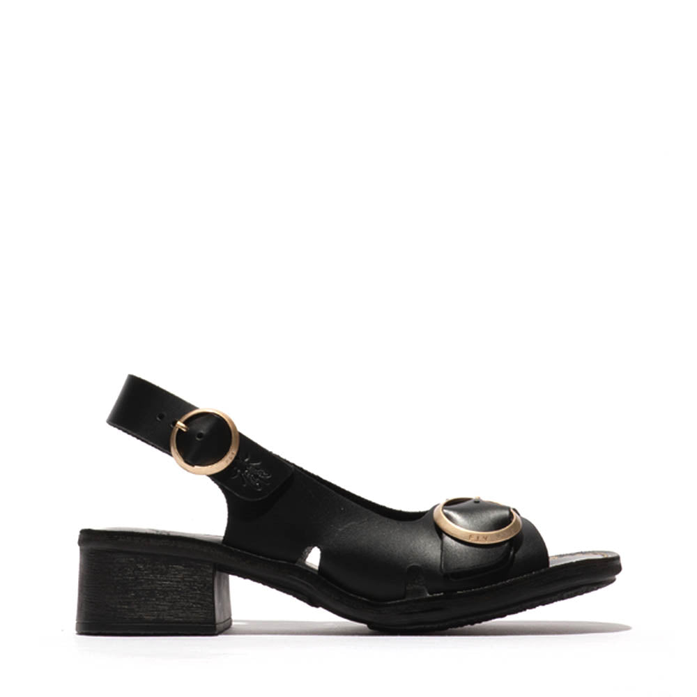EDOV / BLACK