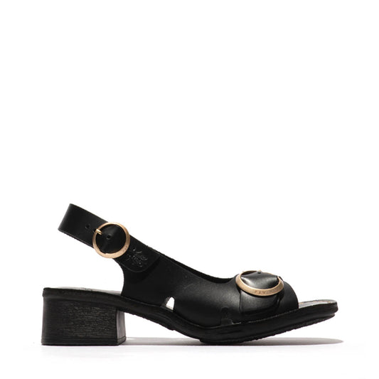 EDOV / BLACK