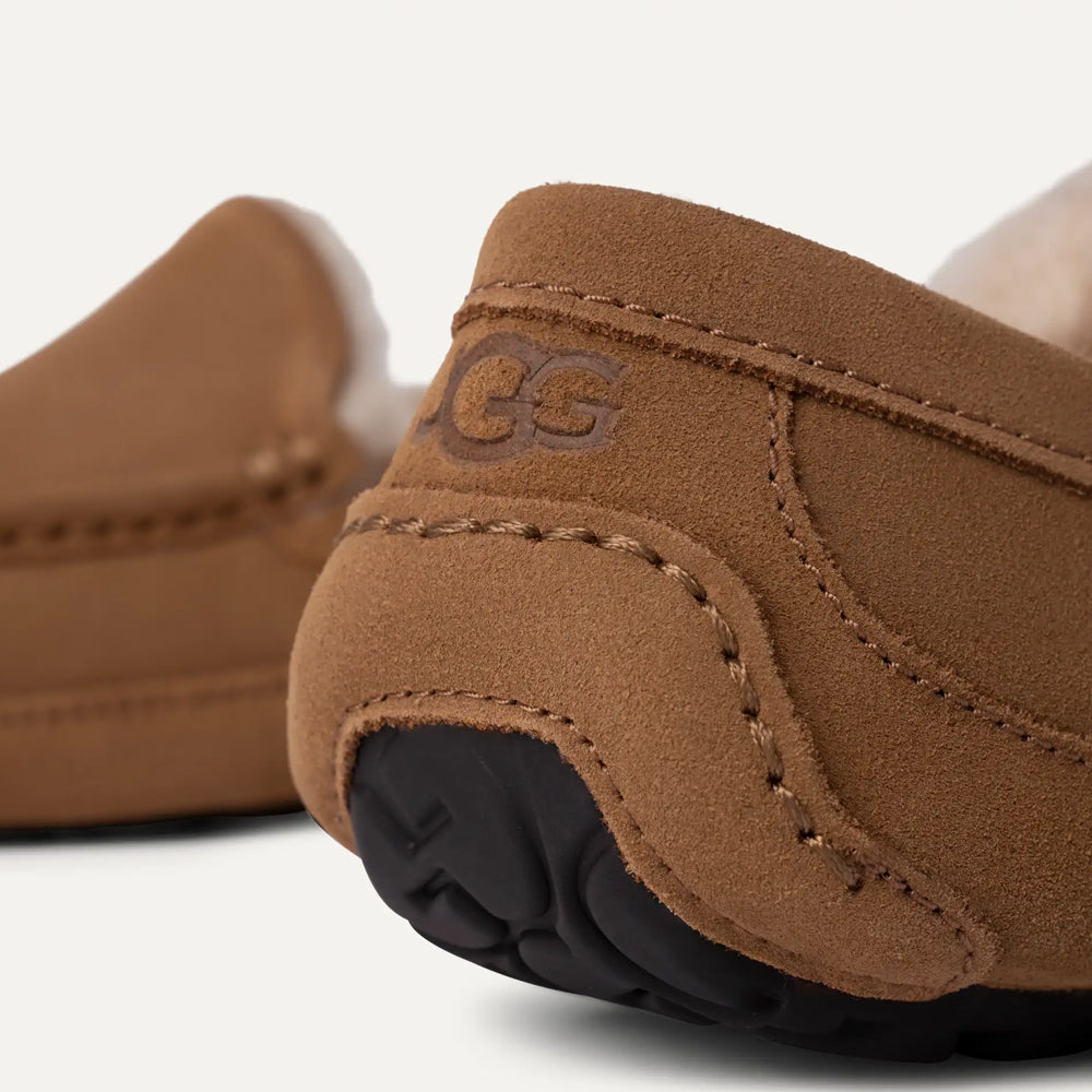 M ASCOT / CHESTNUT