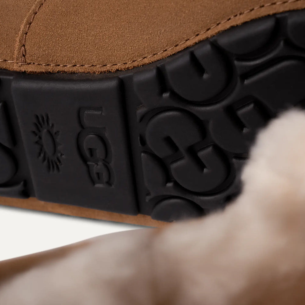 M ASCOT / CHESTNUT