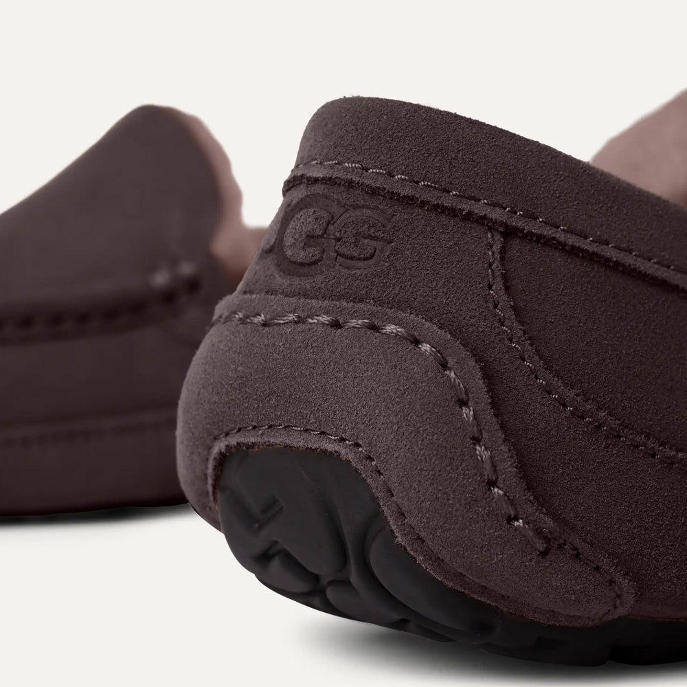 M ASCOT / DUSTED COCOA