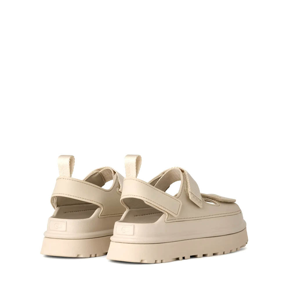 W GOLDENGLOW / BISON BROWN