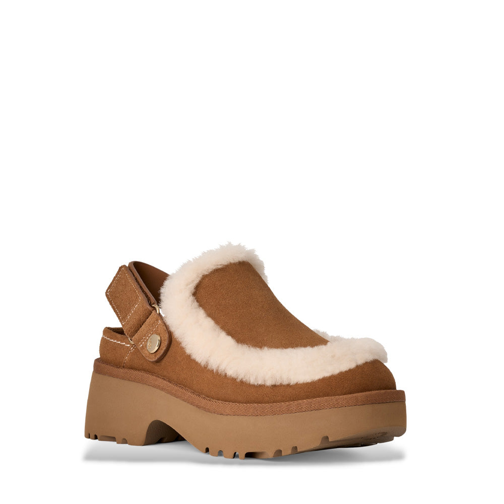 W NEW HEIGHTS ESMEE CLOG / CHESTNUT