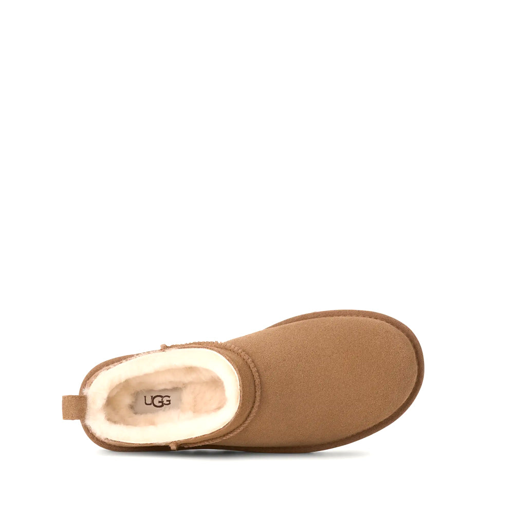 W CLASSIC MICRO / CHESTNUT