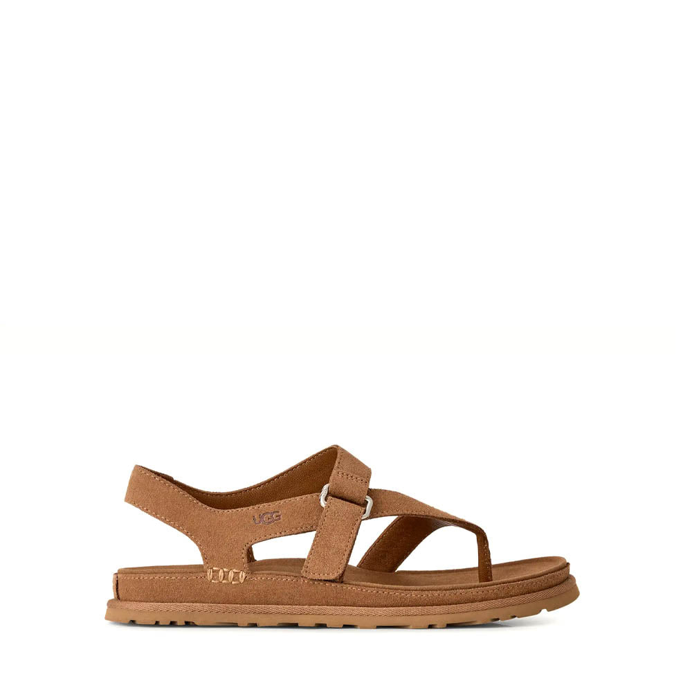 W GOLDENGAZE TOE POST / CHESTNUT