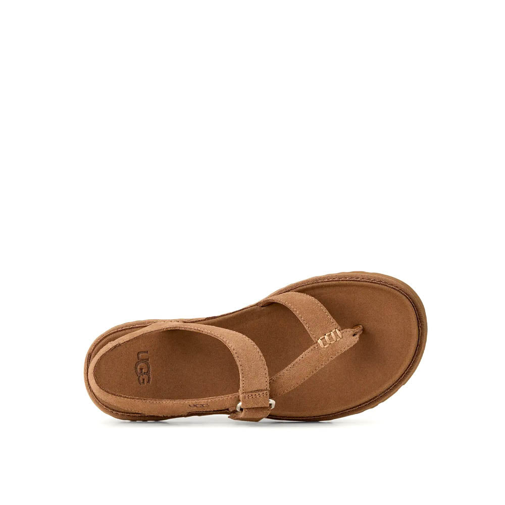 W GOLDENGAZE TOE POST / CHESTNUT