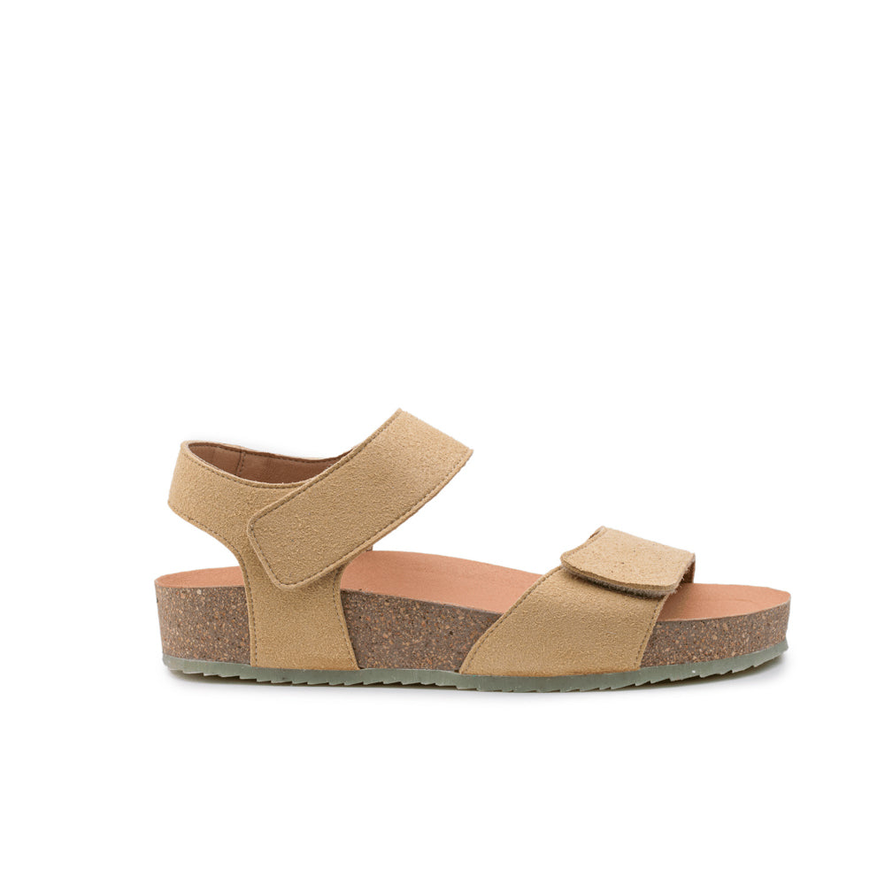 GARDENIA-ZOURI-SARDINE-CAMEL-1