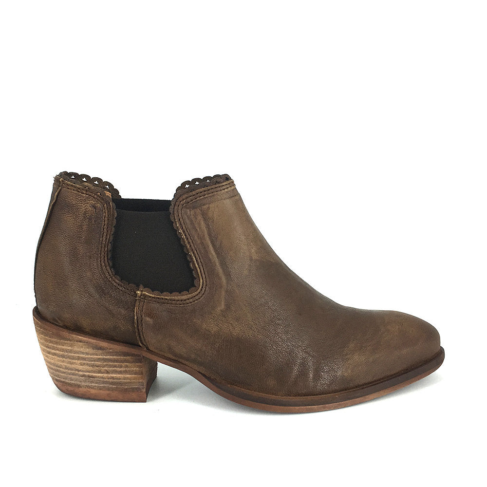 17006 / CASTORO