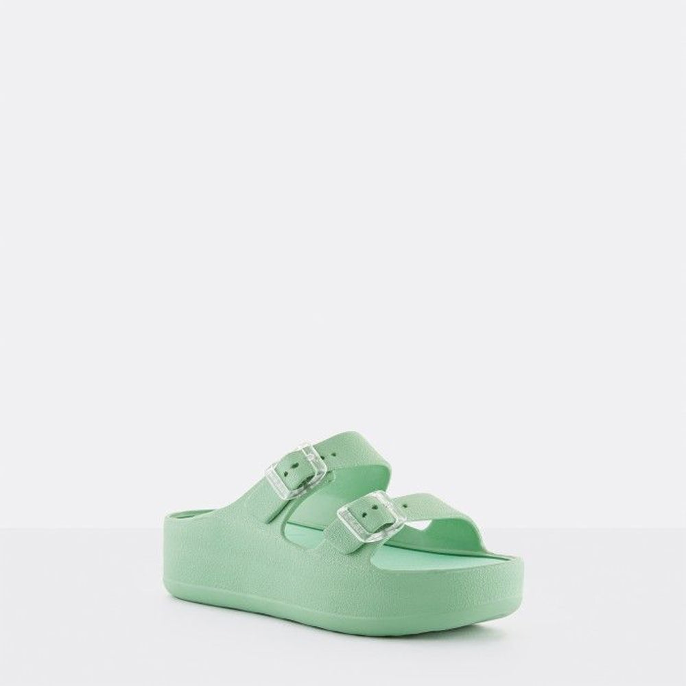FENIX 13 / MENTA