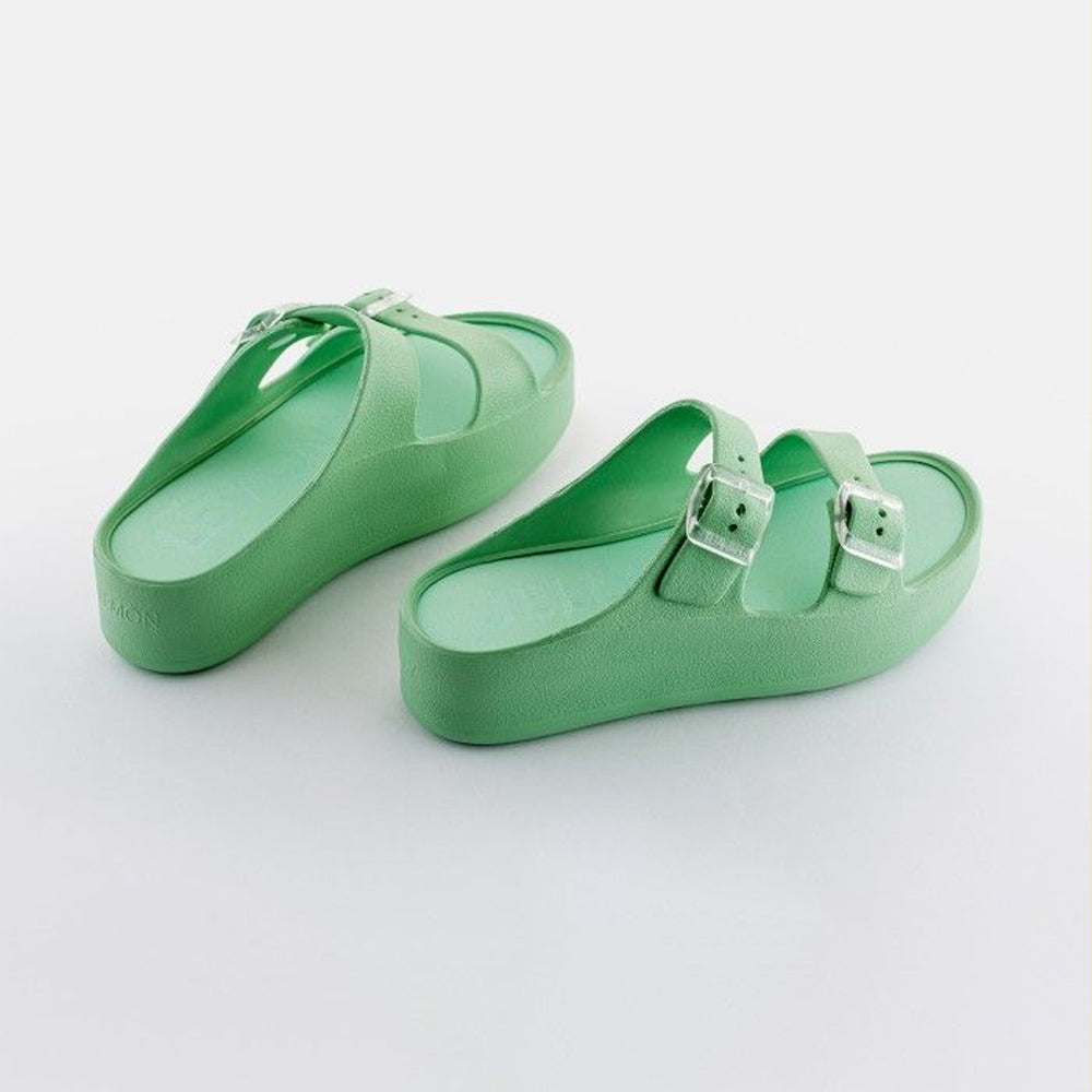 FENIX 13 / MENTA