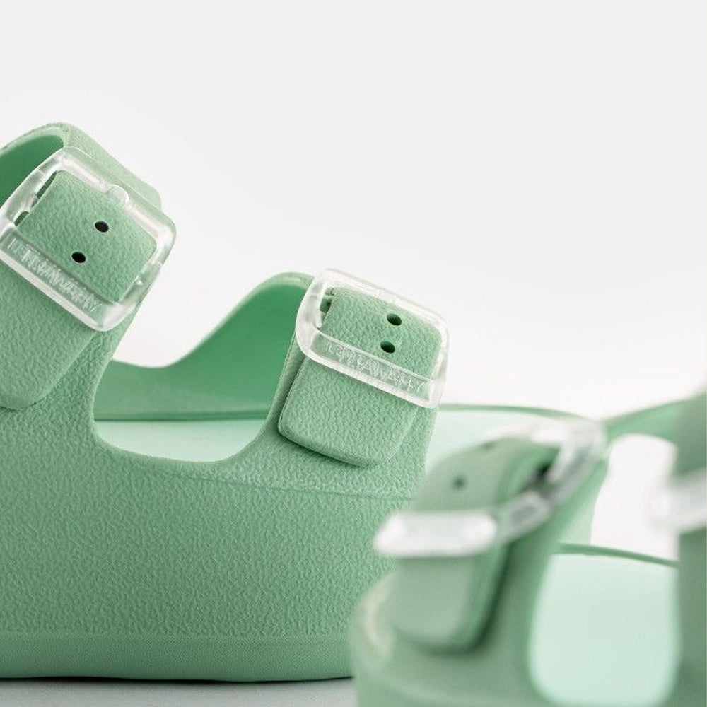FENIX 13 / MENTA