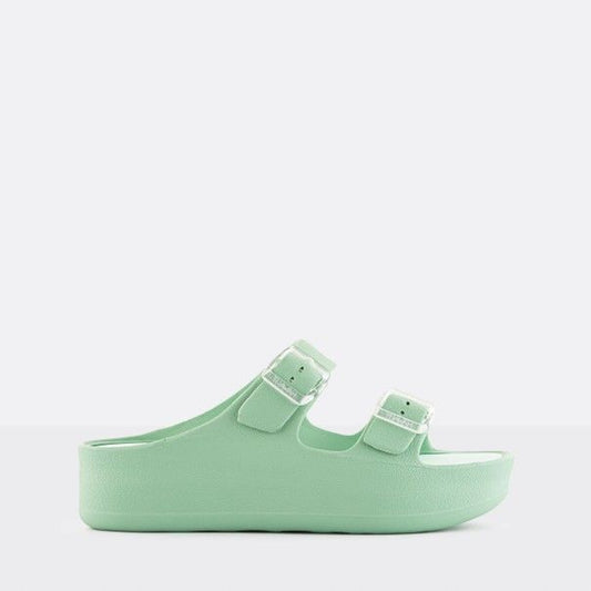 FENIX 13 / MENTA