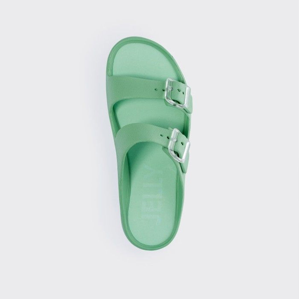 FENIX 13 / MENTA