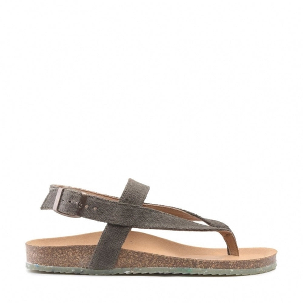 ISLE / OLIVE