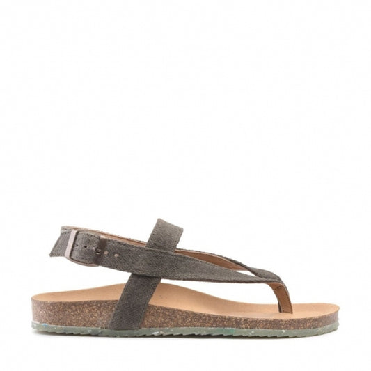 ISLE / OLIVE