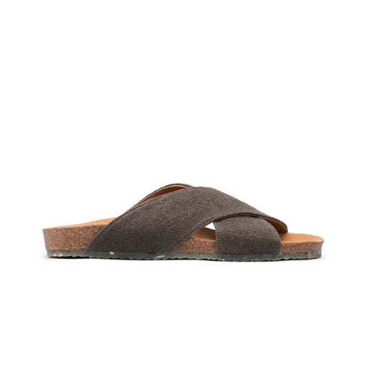 SUN / BROWN