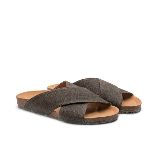 SUN / BROWN
