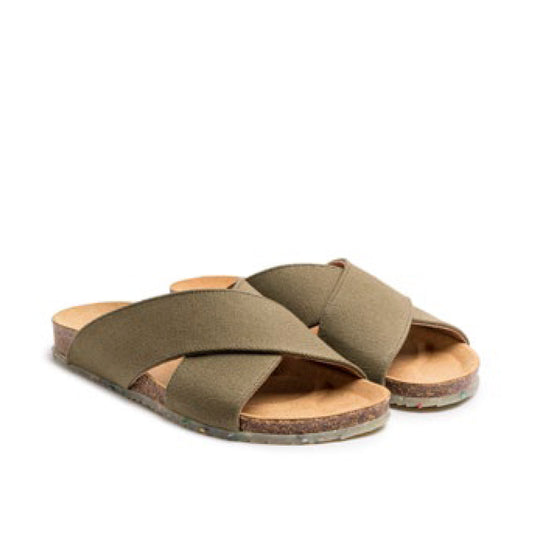 SUN / OLIVE